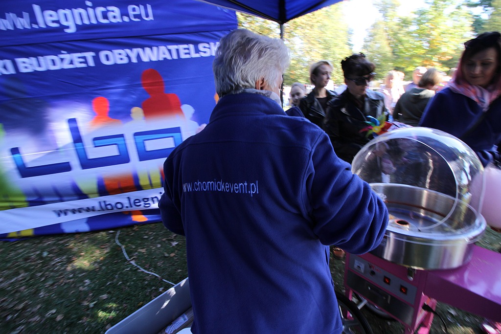 Drugi Legnicki Dzień Latawca na Polanie Angielskiej