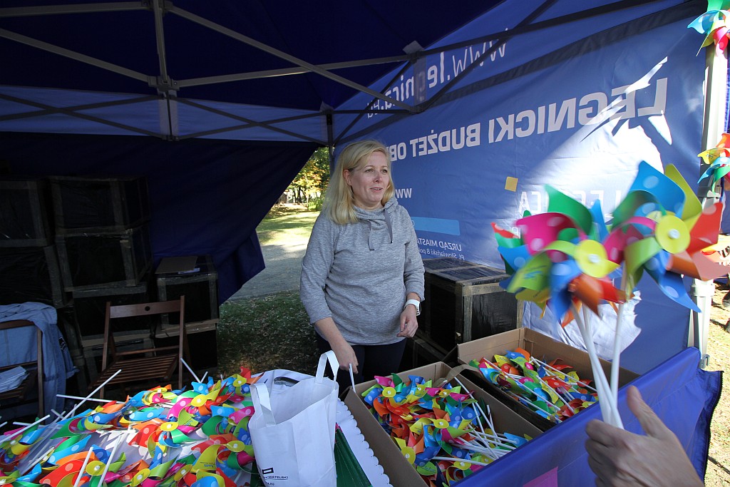 Drugi Legnicki Dzień Latawca na Polanie Angielskiej
