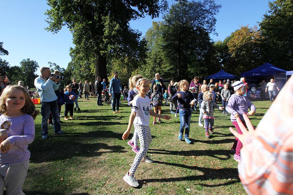 Drugi Legnicki Dzień Latawca na Polanie Angielskiej