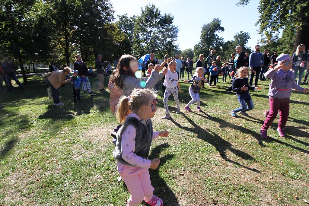 Drugi Legnicki Dzień Latawca na Polanie Angielskiej