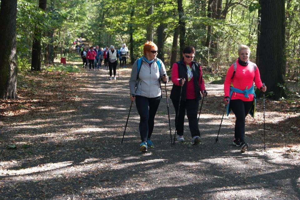 Osiemdziesiąt osób na jesiennym rajdzie nordic walking