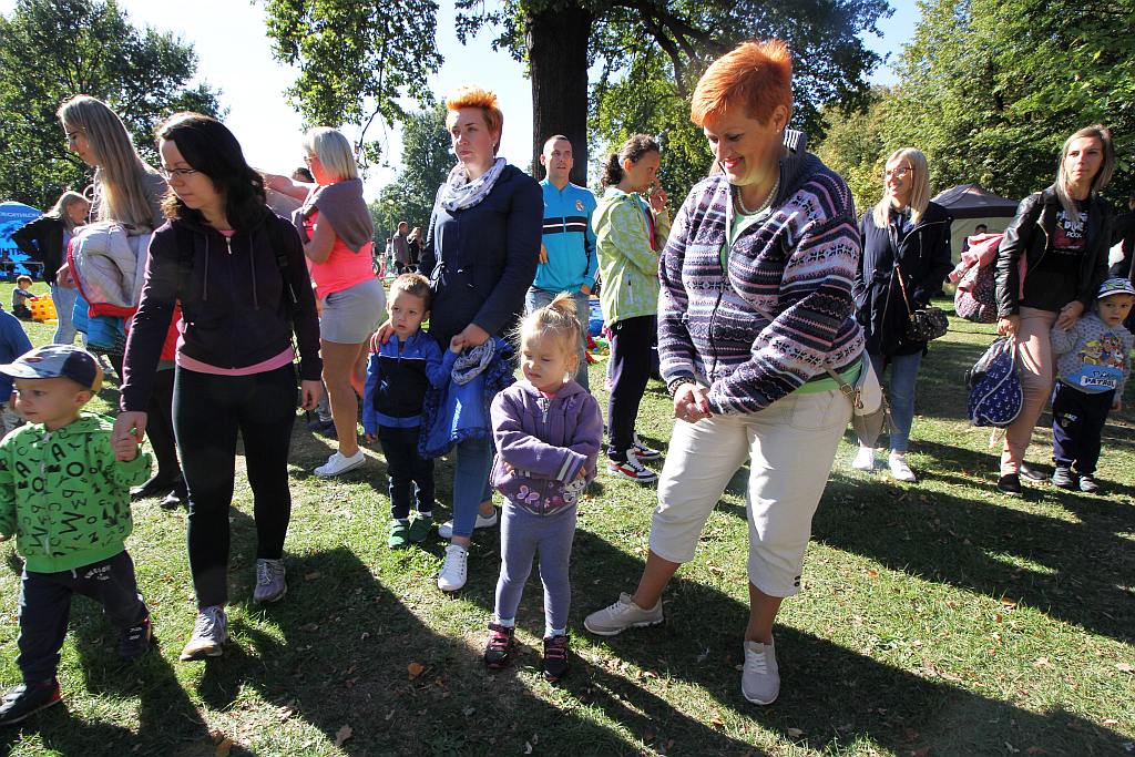 Drugi Legnicki Dzień Latawca na Polanie Angielskiej