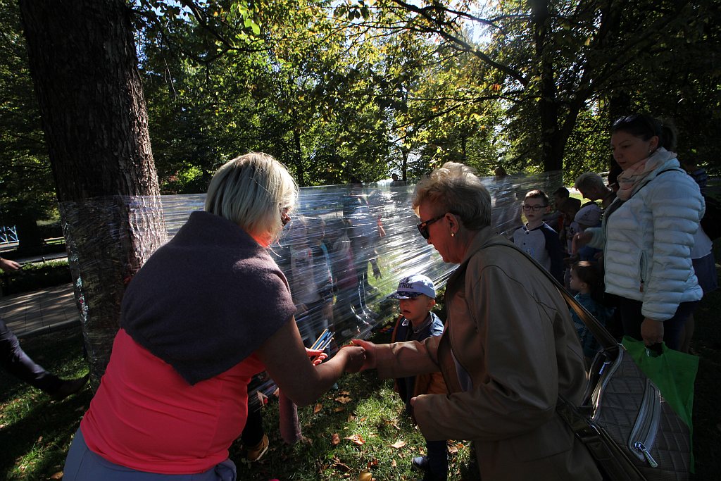 Drugi Legnicki Dzień Latawca na Polanie Angielskiej