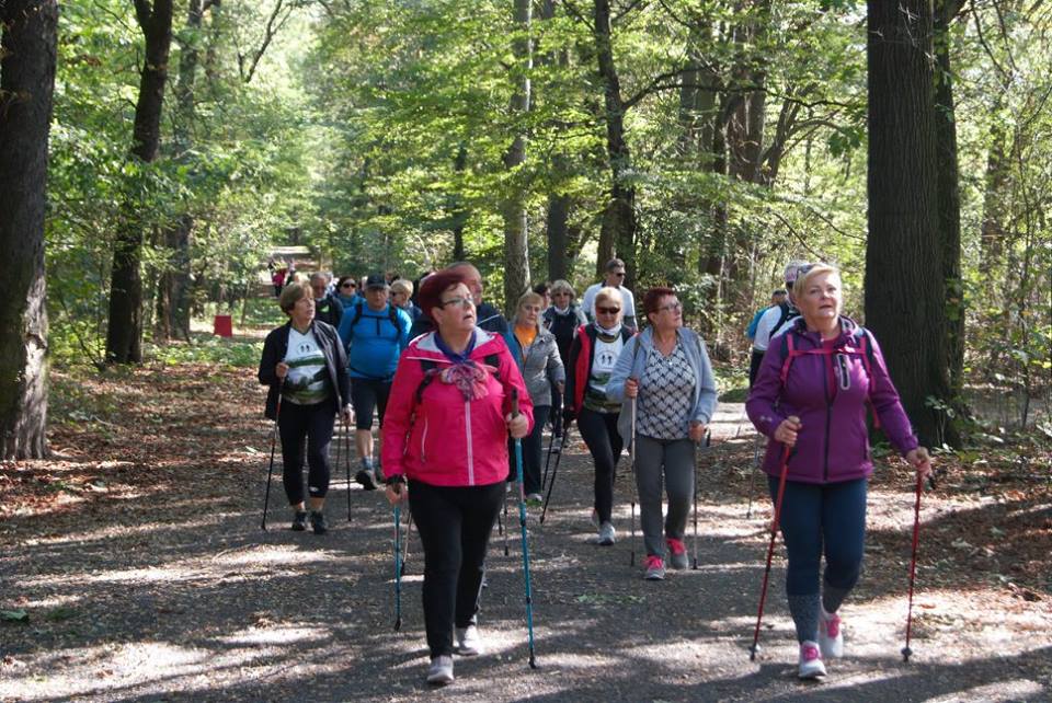 Osiemdziesiąt osób na jesiennym rajdzie nordic walking
