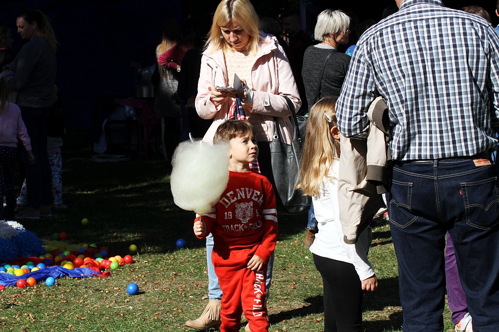 Drugi Legnicki Dzień Latawca na Polanie Angielskiej