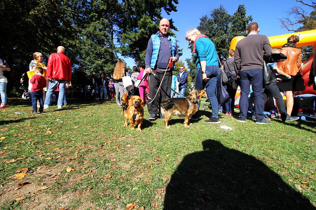 Drugi Legnicki Dzień Latawca na Polanie Angielskiej