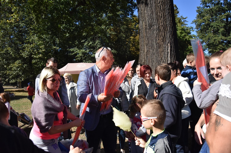 Drugi Legnicki Dzień Latawca na Polanie Angielskiej