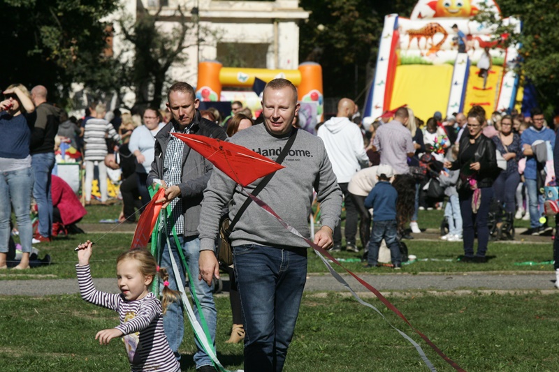 Drugi Legnicki Dzień Latawca na Polanie Angielskiej