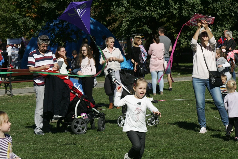 Drugi Legnicki Dzień Latawca na Polanie Angielskiej