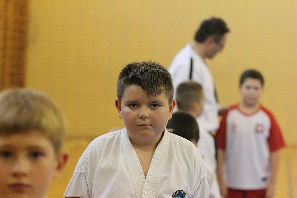 Legniccy taekwondocy pokazali swoje pucharowe trofea