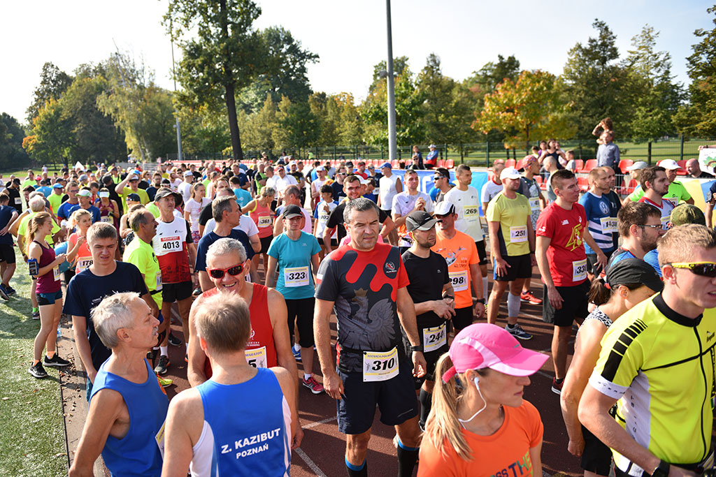 Legnicki Półmaraton. 31. Bieg Lwa Legnickiego cz. 1