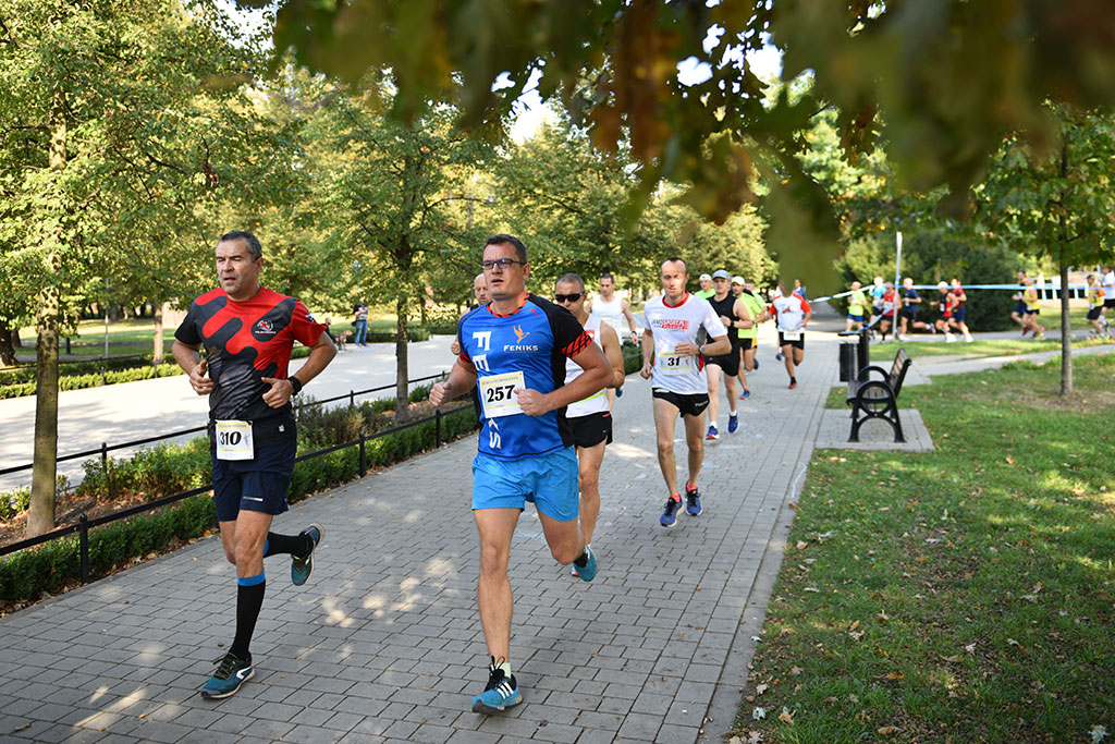 Legnicki Półmaraton. 31. Bieg Lwa Legnickiego cz. 1