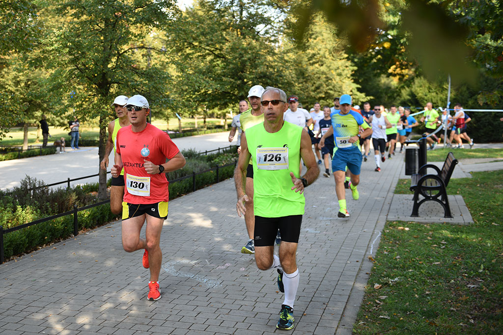 Legnicki Półmaraton. 31. Bieg Lwa Legnickiego cz. 1