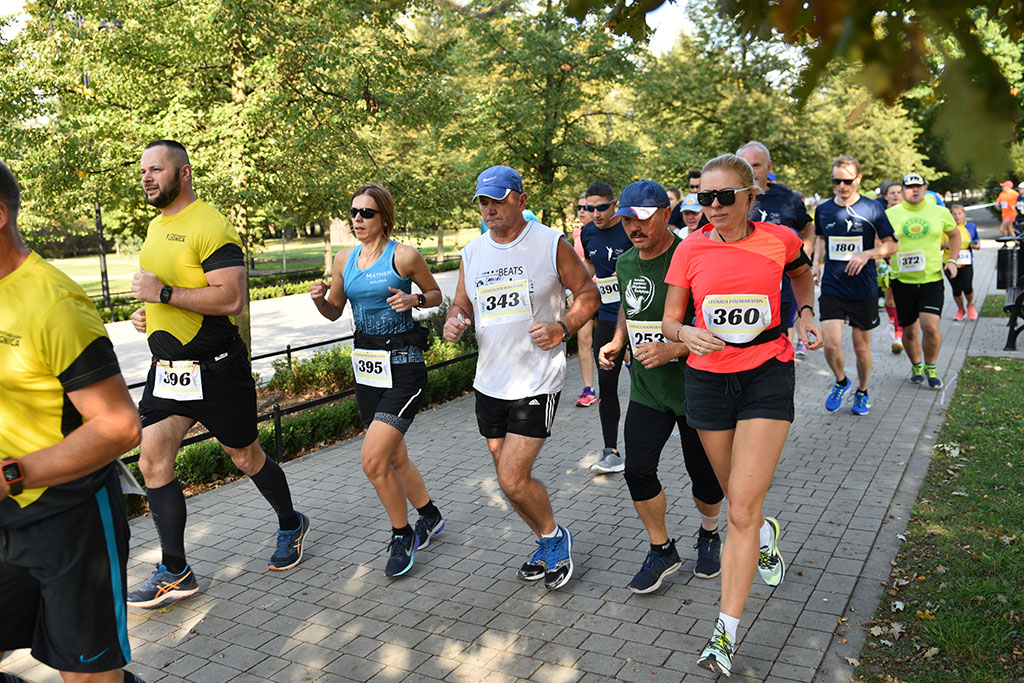 Legnicki Półmaraton. 31. Bieg Lwa Legnickiego cz. 1