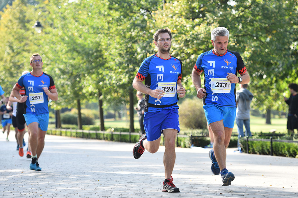Legnicki Półmaraton. 31. Bieg Lwa Legnickiego cz. 1