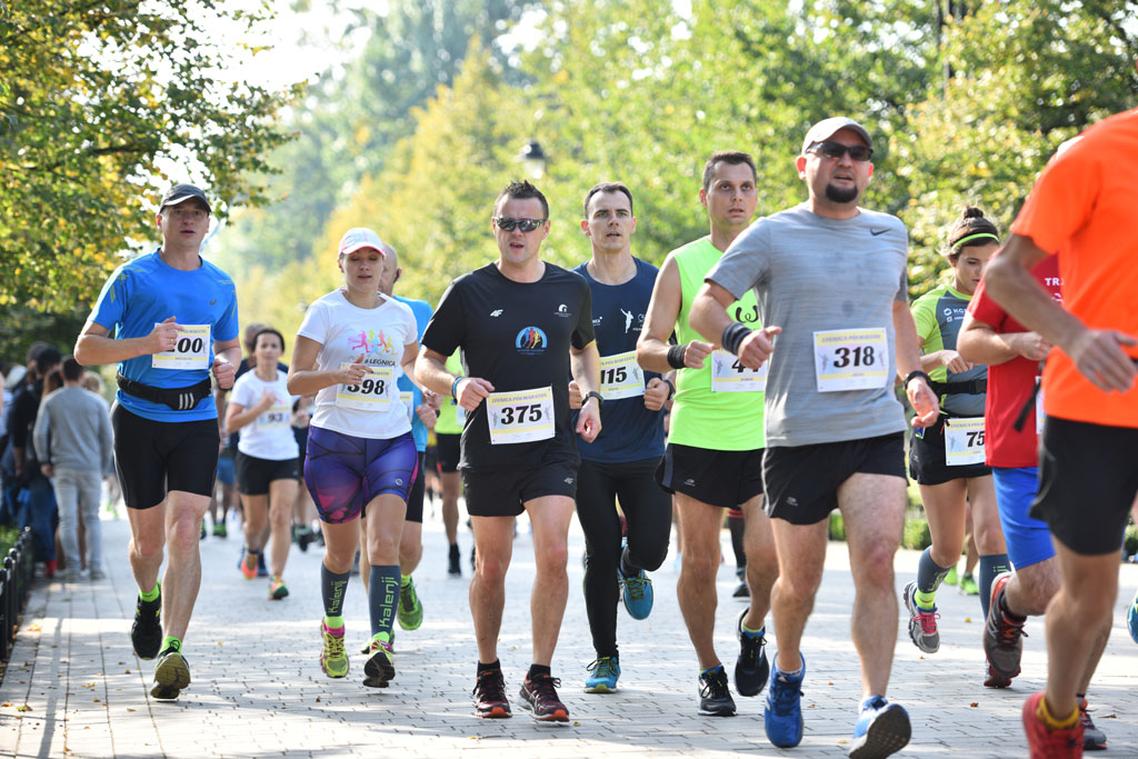 Legnicki Półmaraton. 31. Bieg Lwa Legnickiego cz. 1