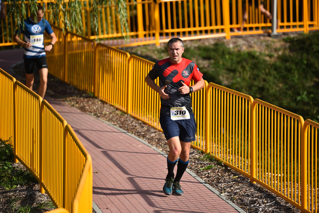 Legnicki Półmaraton. 31. Bieg Lwa Legnickiego cz. 1