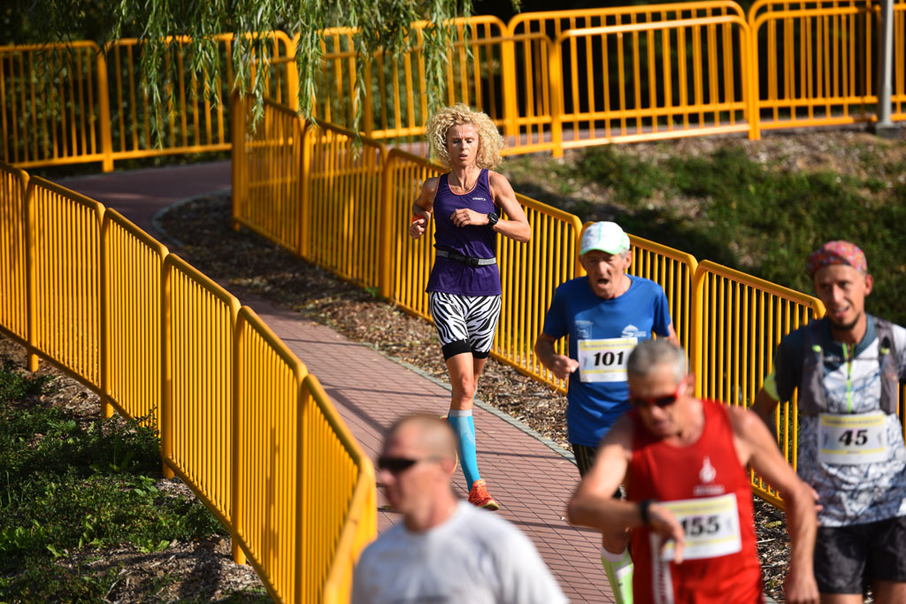 Legnicki Półmaraton. 31. Bieg Lwa Legnickiego cz. 1