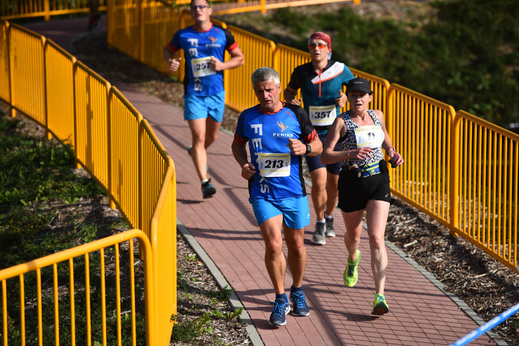 Legnicki Półmaraton. 31. Bieg Lwa Legnickiego cz. 1