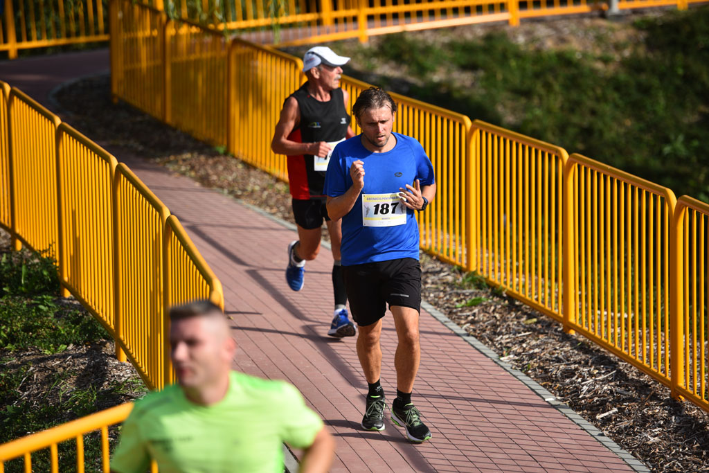 Legnicki Półmaraton. 31. Bieg Lwa Legnickiego cz. 1