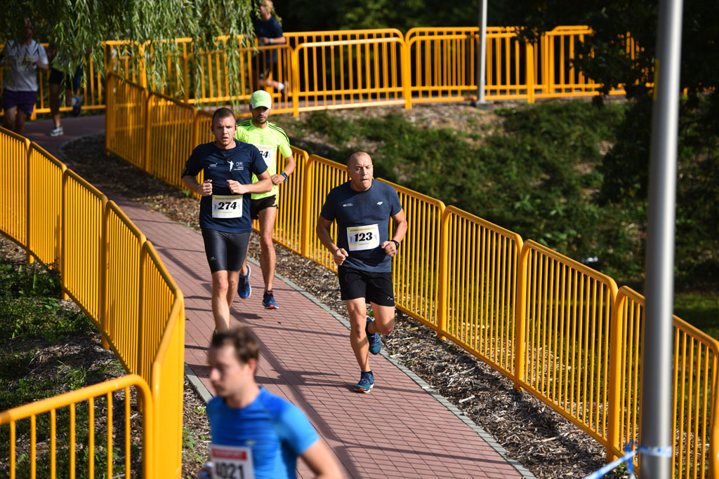 Legnicki Półmaraton. 31. Bieg Lwa Legnickiego cz. 1