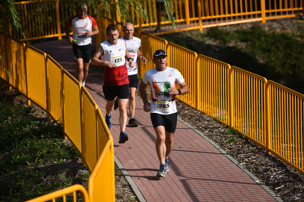 Legnicki Półmaraton. 31. Bieg Lwa Legnickiego cz. 1