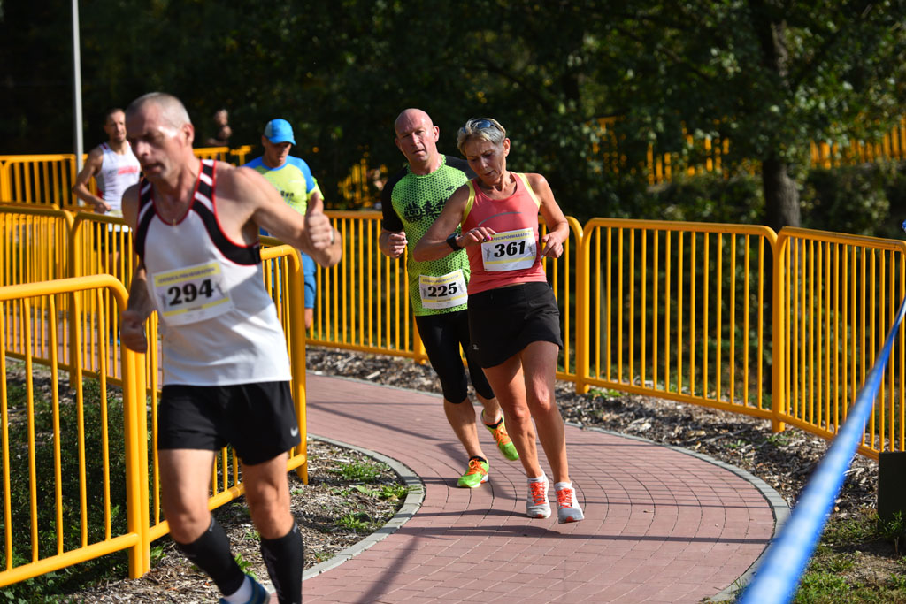 Legnicki Półmaraton. 31. Bieg Lwa Legnickiego cz. 1