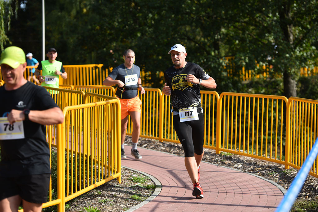Legnicki Półmaraton. 31. Bieg Lwa Legnickiego cz. 1