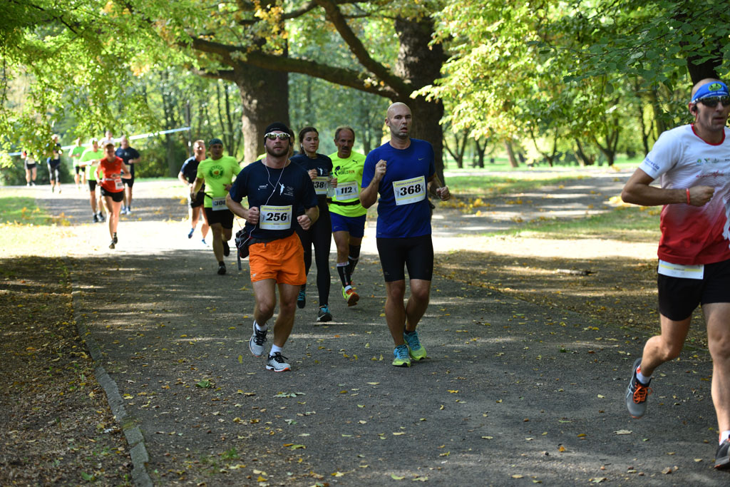 Legnicki Półmaraton. 31. Bieg Lwa Legnickiego cz. 1