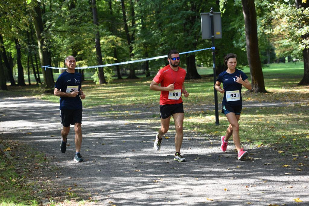 Legnicki Półmaraton. 31. Bieg Lwa Legnickiego cz. 1