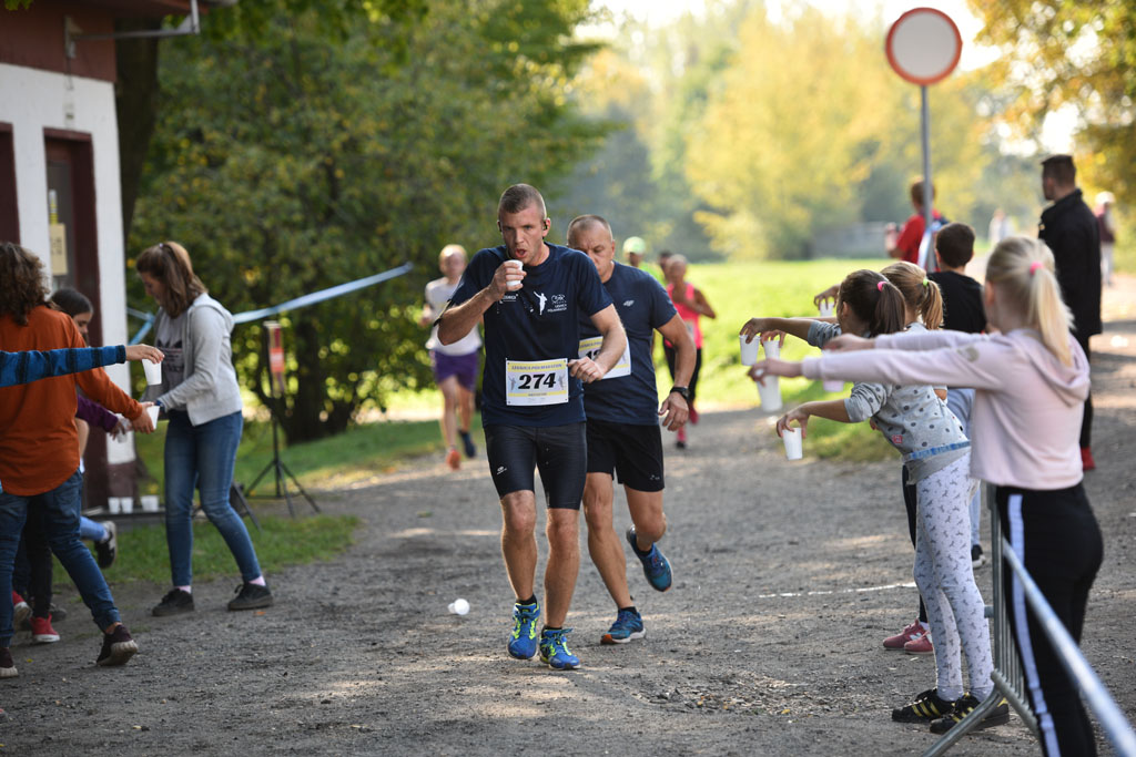 Legnicki Półmaraton. 31. Bieg Lwa Legnickiego cz. 1