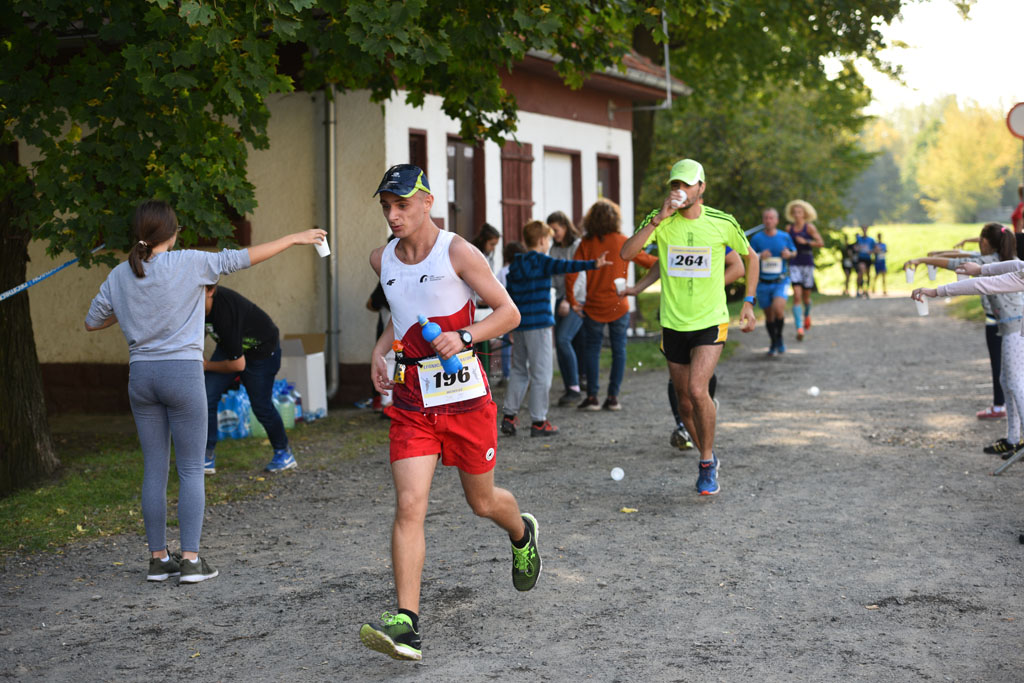 Legnicki Półmaraton. 31. Bieg Lwa Legnickiego cz. 1