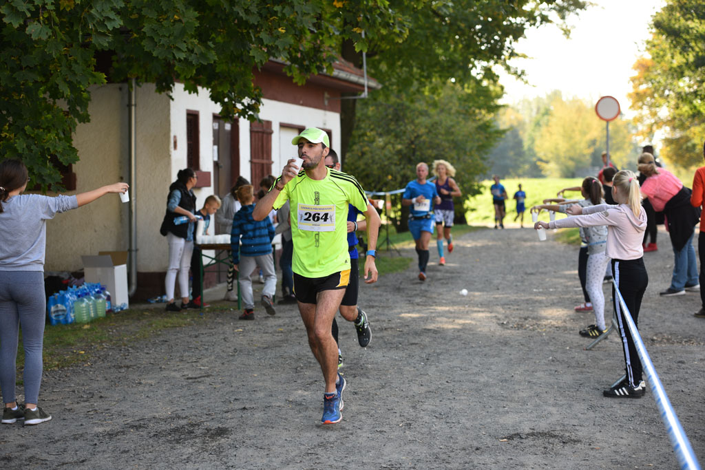 Legnicki Półmaraton. 31. Bieg Lwa Legnickiego cz. 1