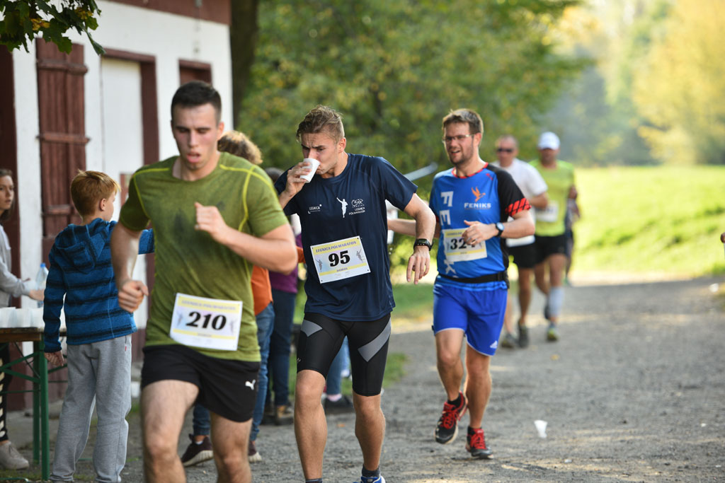 Legnicki Półmaraton. 31. Bieg Lwa Legnickiego cz. 1