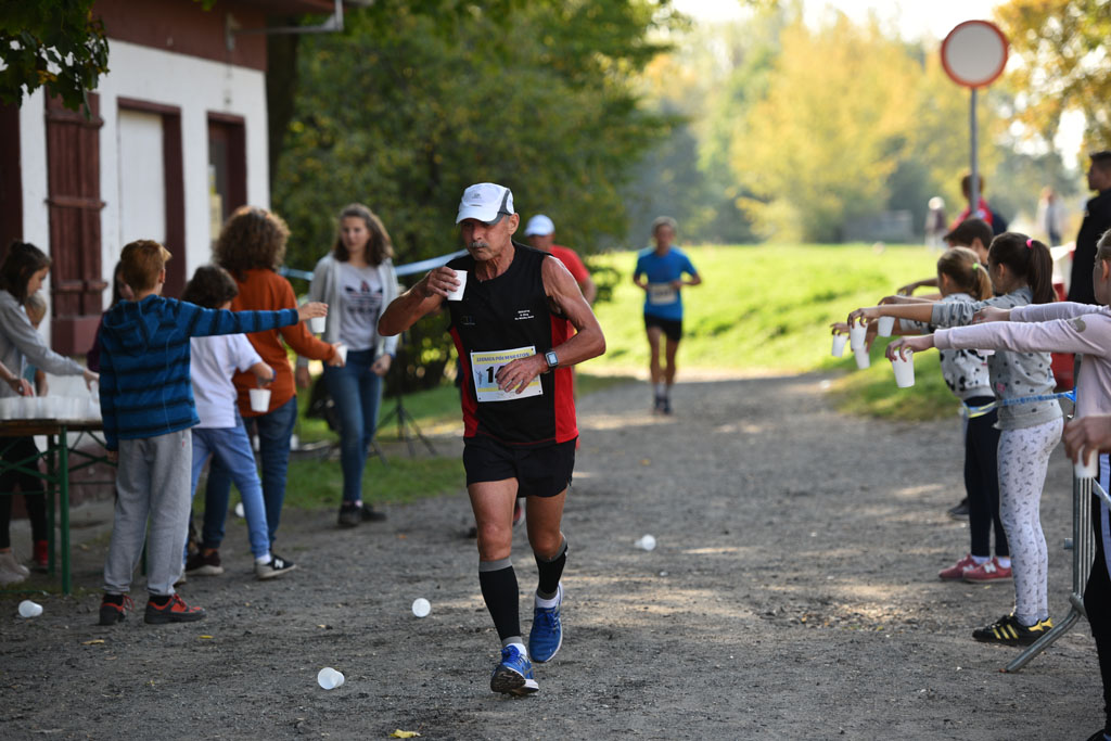Legnicki Półmaraton. 31. Bieg Lwa Legnickiego cz. 1