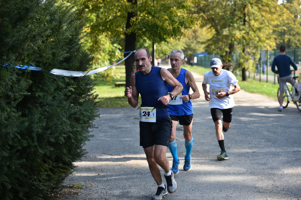 Legnicki Półmaraton. 31. Bieg Lwa Legnickiego cz. 1