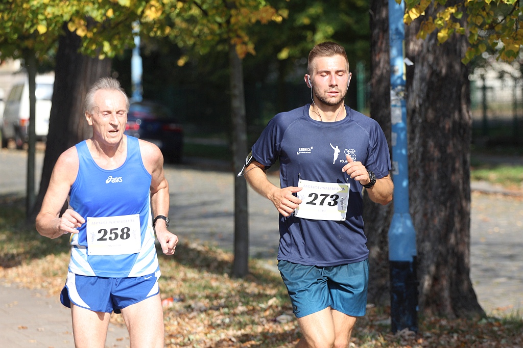 Legnicki Półmaraton. 31. Bieg Lwa Legnickiego cz. 2