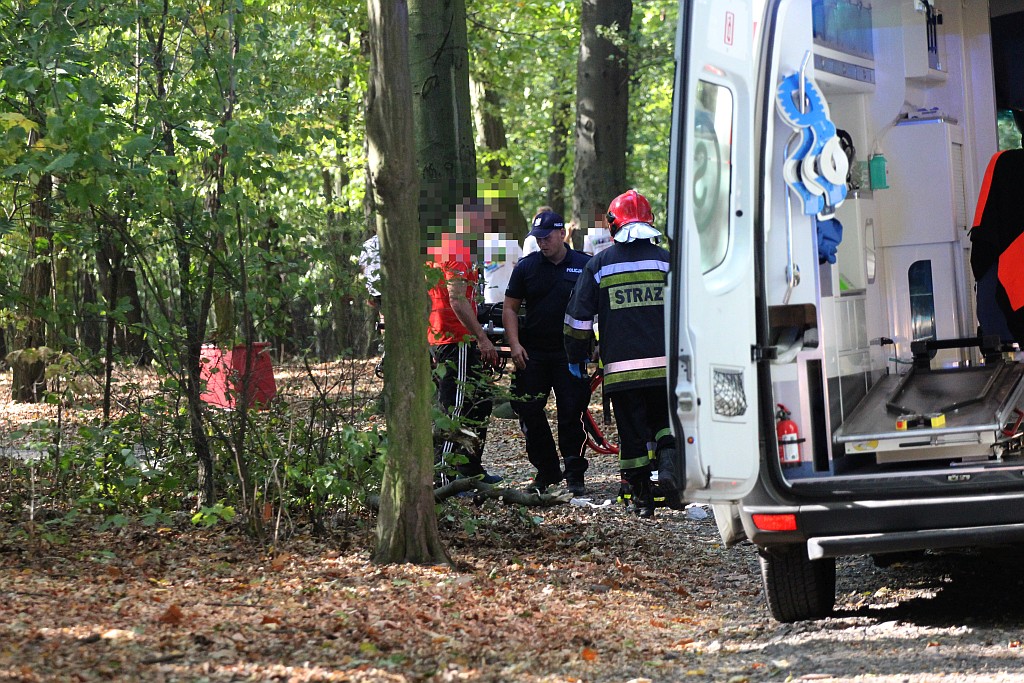 Nieszczęście. Konar przygniótł ucznia w Lasku Złotoryjskim