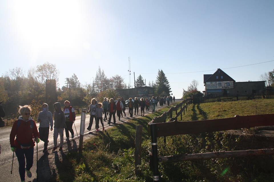 Drapiki i Pasjonaci Nordic Walking weszli na Górę Szybowcową