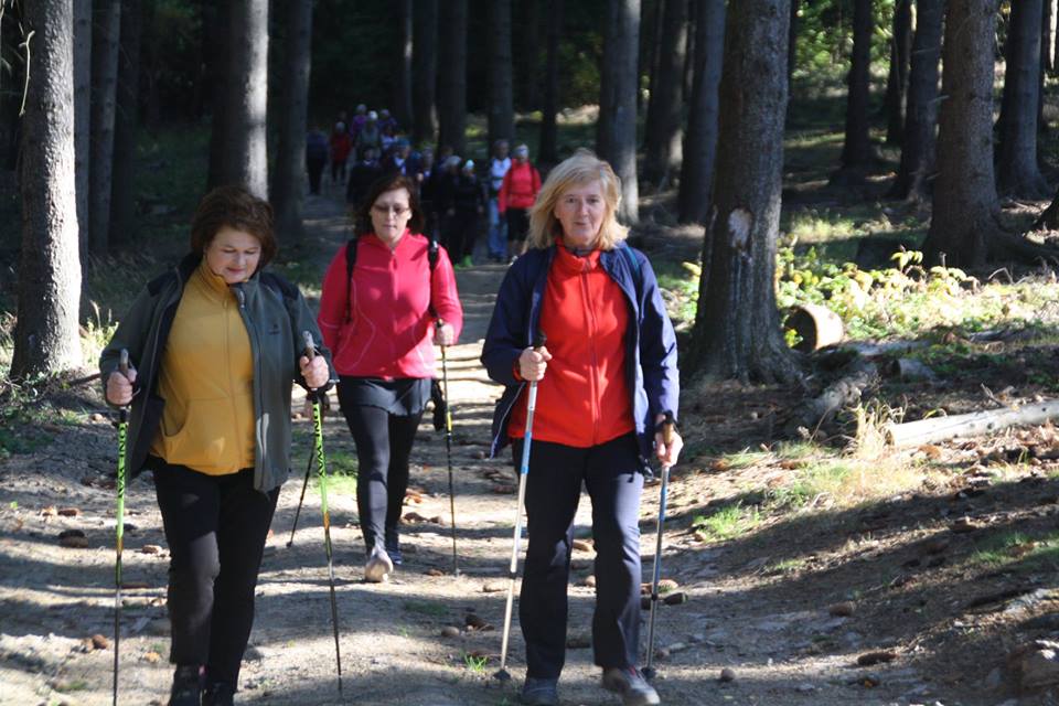 Drapiki i Pasjonaci Nordic Walking weszli na Górę Szybowcową