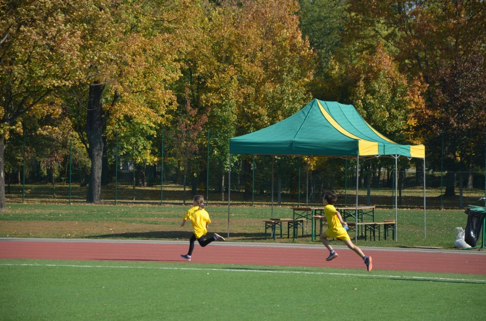 8. Legnicki Bieg Papieski w Parku Miejskim              
