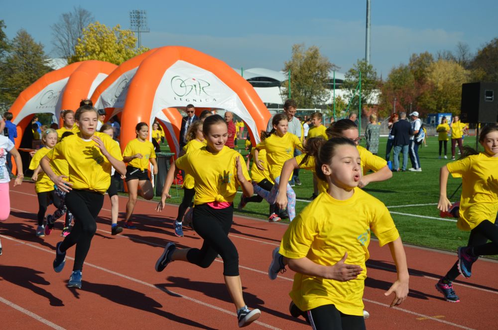 8. Legnicki Bieg Papieski w Parku Miejskim              
