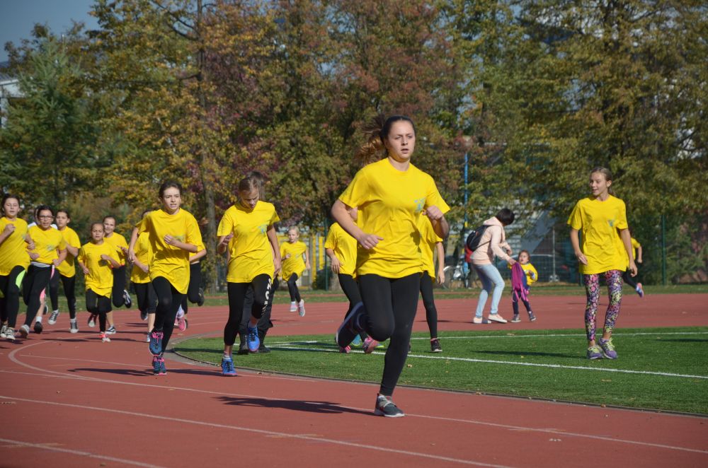 8. Legnicki Bieg Papieski w Parku Miejskim              
