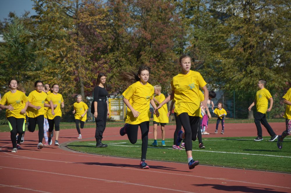 8. Legnicki Bieg Papieski w Parku Miejskim              
