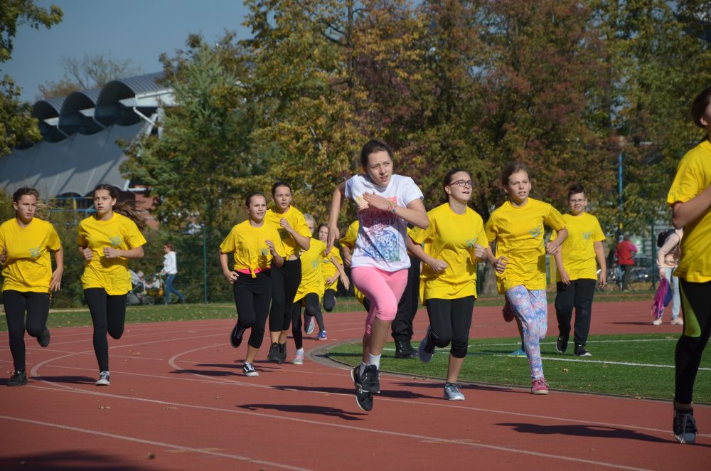 8. Legnicki Bieg Papieski w Parku Miejskim              
