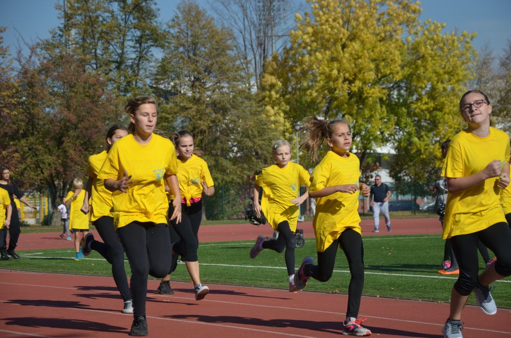 8. Legnicki Bieg Papieski w Parku Miejskim              
