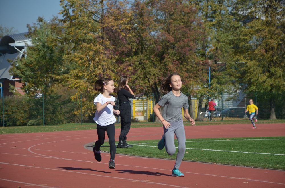 8. Legnicki Bieg Papieski w Parku Miejskim              
