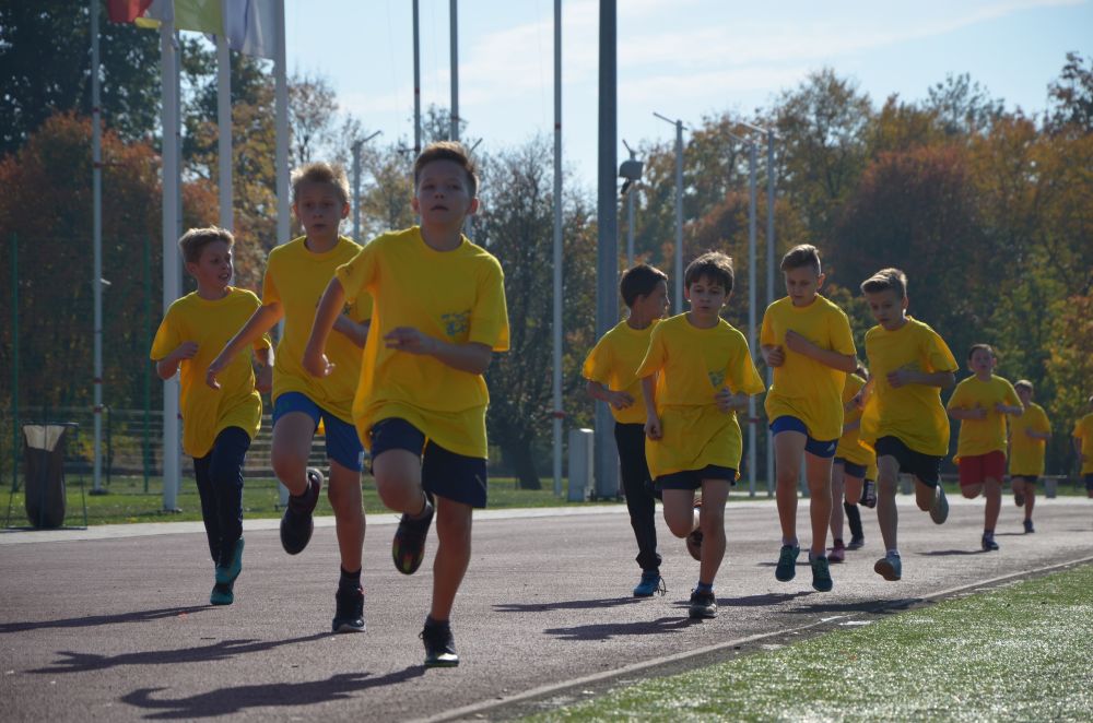 8. Legnicki Bieg Papieski w Parku Miejskim              
