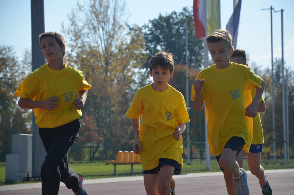 8. Legnicki Bieg Papieski w Parku Miejskim              
