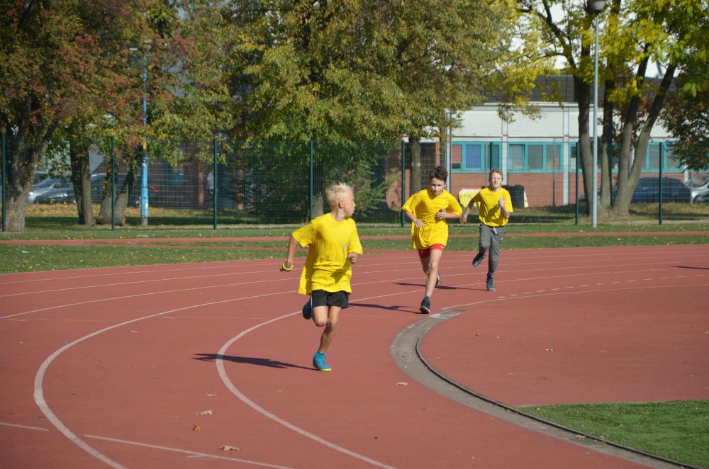 8. Legnicki Bieg Papieski w Parku Miejskim              
